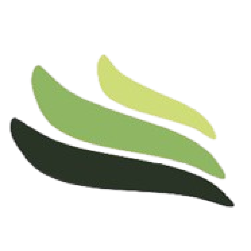 DPS Integrated Solutions Limited