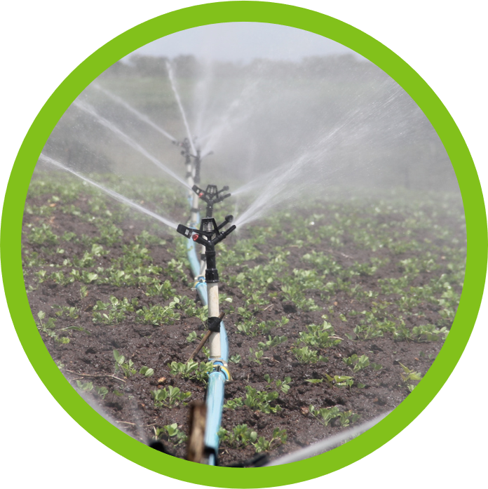 DPS placeholder image. Replace with water project image and add descriptive alt text.