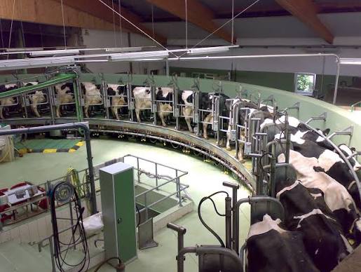 DPS placeholder image. Replace with dairy processing image and add descriptive alt text.