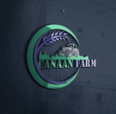 DPS placeholder image. Replace with client logo and add descriptive alt text.